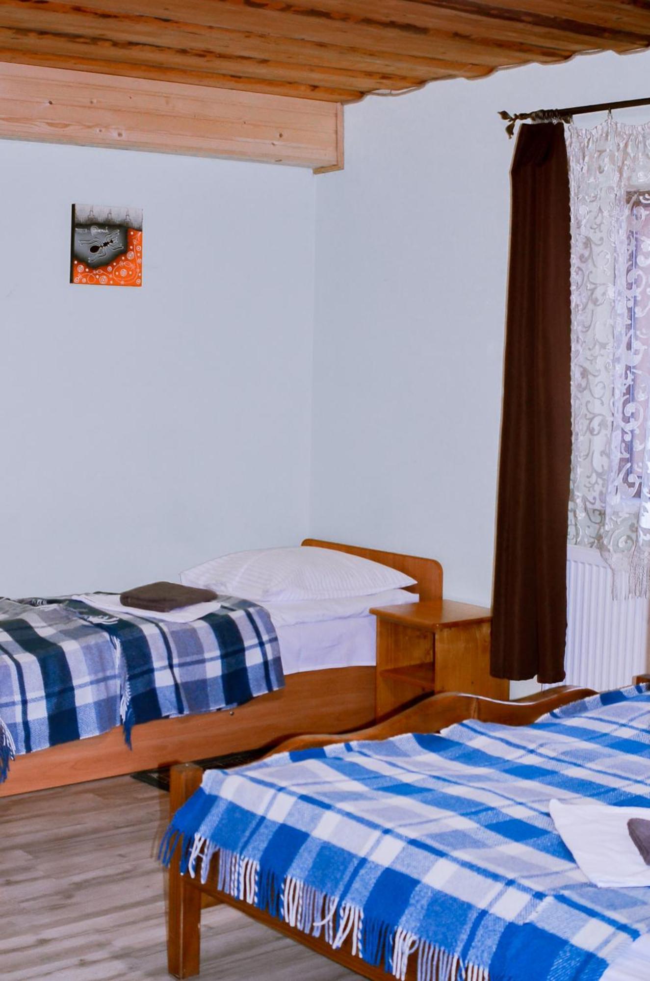 Guest House Mandrivnyi Rooms&Apartments ยาซินยา ภายนอก รูปภาพ